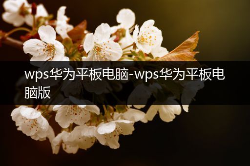 wps华为平板电脑-wps华为平板电脑版