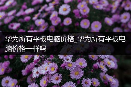 华为所有平板电脑价格_华为所有平板电脑价格一样吗
