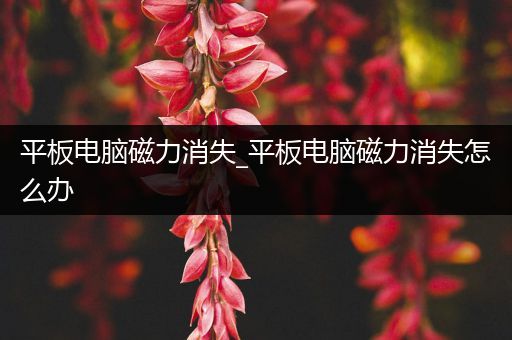 平板电脑磁力消失_平板电脑磁力消失怎么办