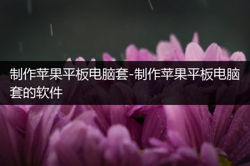 制作苹果平板电脑套-制作苹果平板电脑套的软件