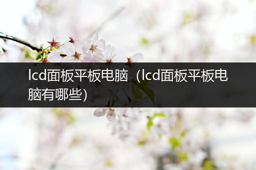 lcd面板平板电脑（lcd面板平板电脑有哪些）