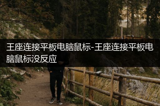 王座连接平板电脑鼠标-王座连接平板电脑鼠标没反应