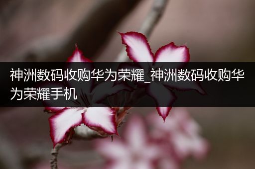 神洲数码收购华为荣耀_神洲数码收购华为荣耀手机