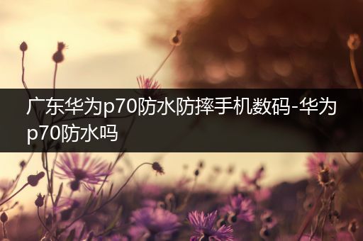 广东华为p70防水防摔手机数码-华为p70防水吗