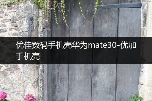 优佳数码手机壳华为mate30-优加手机壳