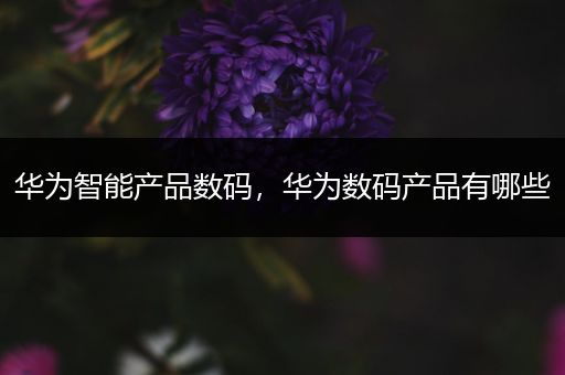 华为智能产品数码，华为数码产品有哪些
