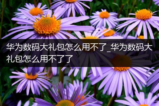 华为数码大礼包怎么用不了_华为数码大礼包怎么用不了了
