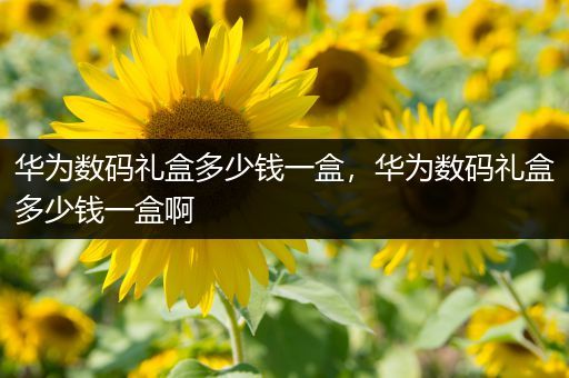华为数码礼盒多少钱一盒，华为数码礼盒多少钱一盒啊