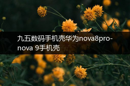 九五数码手机壳华为nova8pro-nova 9手机壳