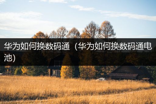华为如何换数码通（华为如何换数码通电池）
