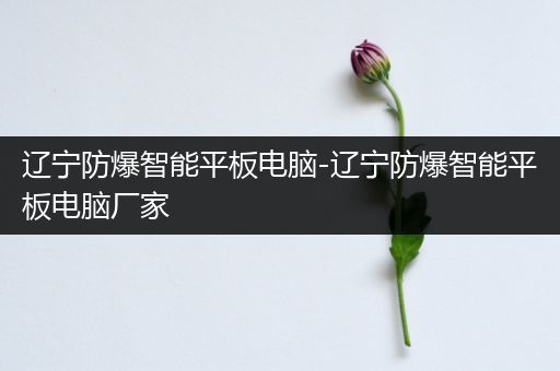 辽宁防爆智能平板电脑-辽宁防爆智能平板电脑厂家