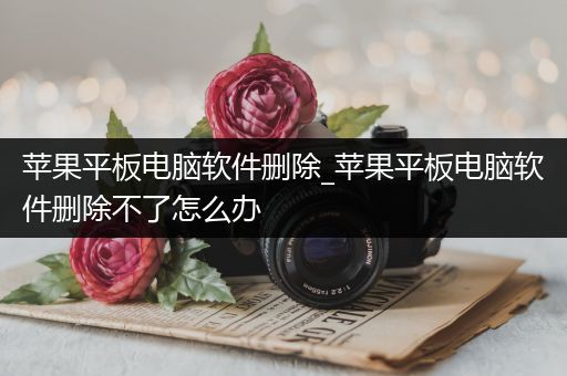 苹果平板电脑软件删除_苹果平板电脑软件删除不了怎么办