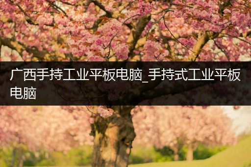 广西手持工业平板电脑_手持式工业平板电脑