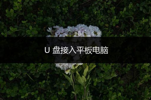 U 盘接入平板电脑