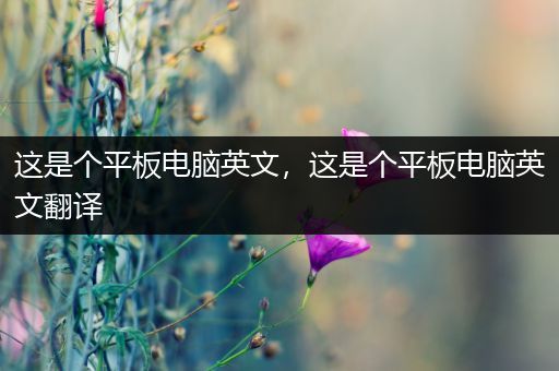 这是个平板电脑英文，这是个平板电脑英文翻译