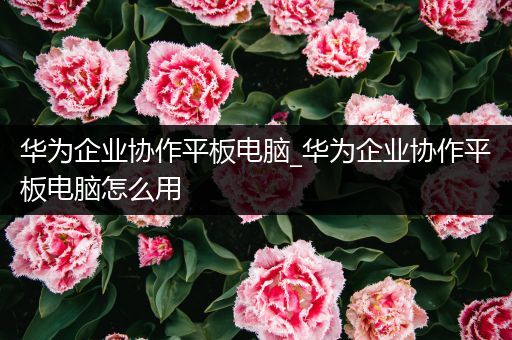 华为企业协作平板电脑_华为企业协作平板电脑怎么用