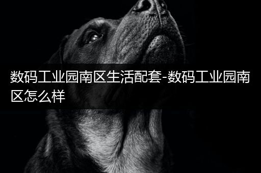 数码工业园南区生活配套-数码工业园南区怎么样
