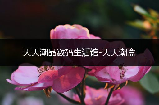 天天潮品数码生活馆-天天潮盒