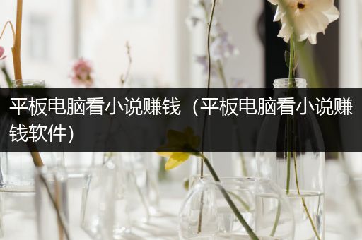 平板电脑看小说赚钱（平板电脑看小说赚钱软件）