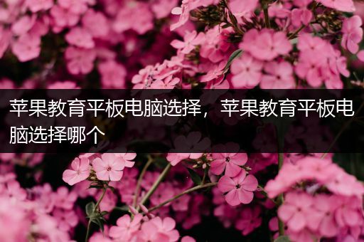 苹果教育平板电脑选择，苹果教育平板电脑选择哪个