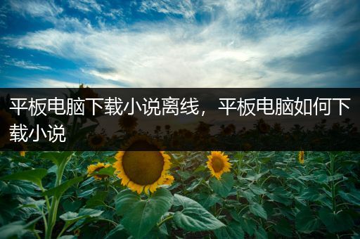 平板电脑下载小说离线，平板电脑如何下载小说