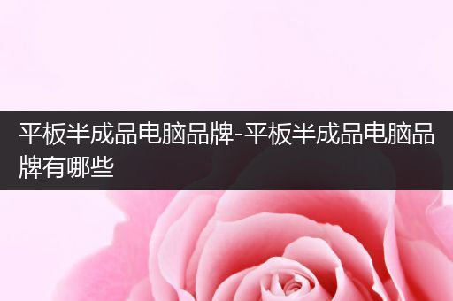 平板半成品电脑品牌-平板半成品电脑品牌有哪些