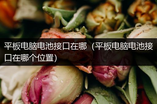 平板电脑电池接口在哪（平板电脑电池接口在哪个位置）