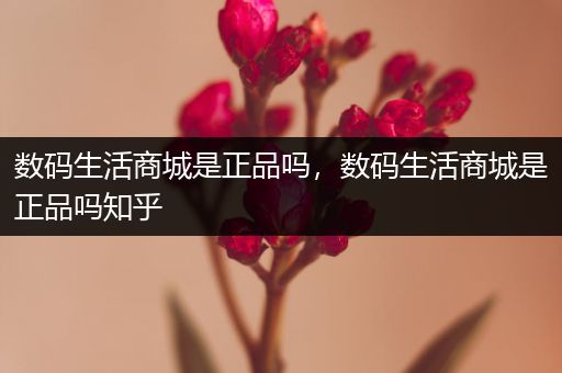 数码生活商城是正品吗，数码生活商城是正品吗知乎
