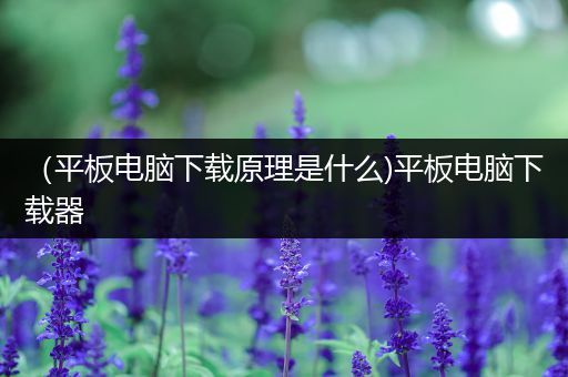 （平板电脑下载原理是什么)平板电脑下载器
