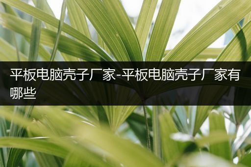 平板电脑壳子厂家-平板电脑壳子厂家有哪些