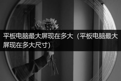 平板电脑最大屏现在多大（平板电脑最大屏现在多大尺寸）