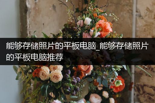 能够存储照片的平板电脑_能够存储照片的平板电脑推荐