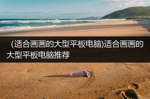 （适合画画的大型平板电脑)适合画画的大型平板电脑推荐
