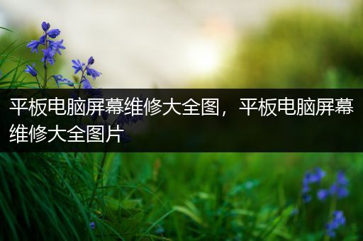 平板电脑屏幕维修大全图，平板电脑屏幕维修大全图片