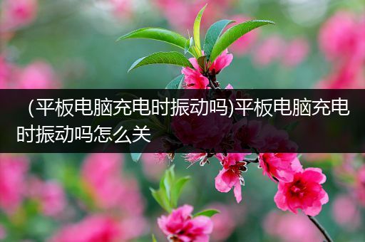 （平板电脑充电时振动吗)平板电脑充电时振动吗怎么关