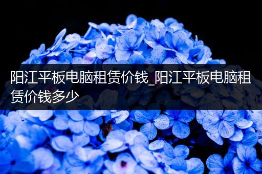阳江平板电脑租赁价钱_阳江平板电脑租赁价钱多少