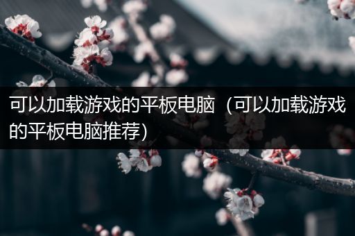 可以加载游戏的平板电脑（可以加载游戏的平板电脑推荐）
