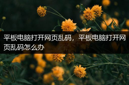 平板电脑打开网页乱码，平板电脑打开网页乱码怎么办