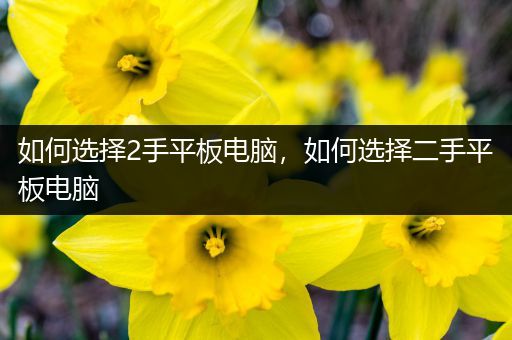 如何选择2手平板电脑，如何选择二手平板电脑