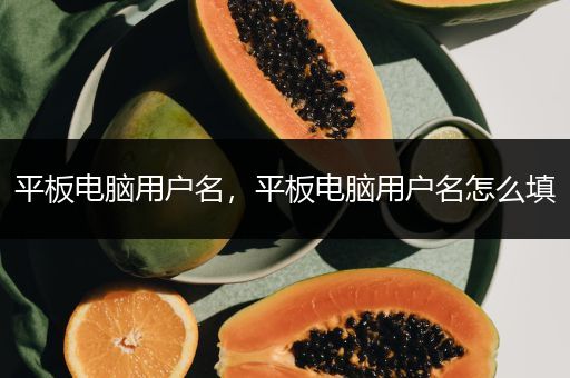 平板电脑用户名，平板电脑用户名怎么填