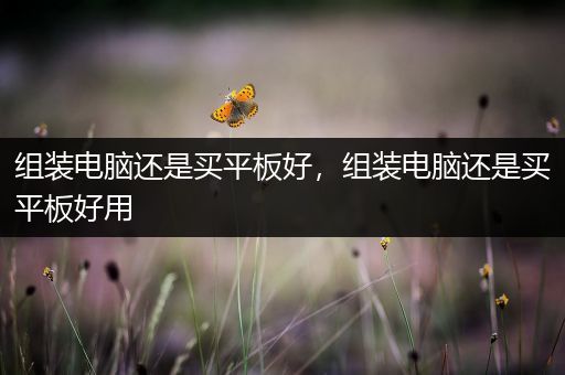 组装电脑还是买平板好，组装电脑还是买平板好用