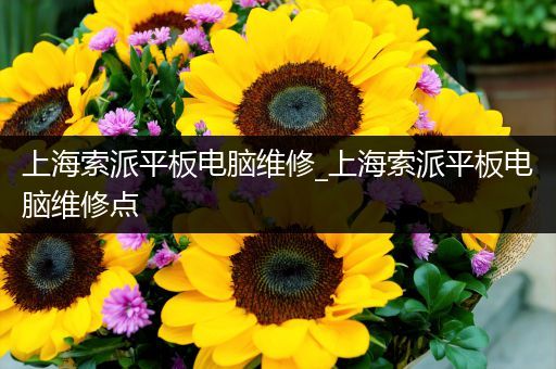 上海索派平板电脑维修_上海索派平板电脑维修点