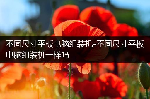 不同尺寸平板电脑组装机-不同尺寸平板电脑组装机一样吗