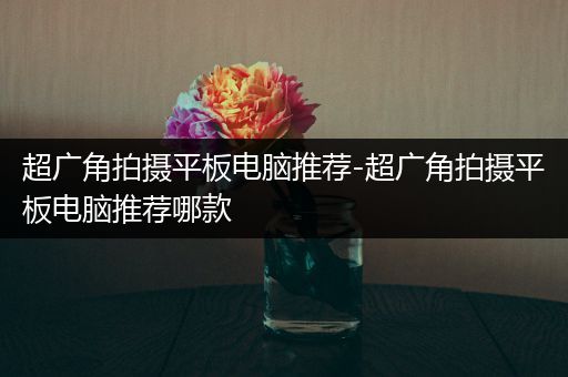 超广角拍摄平板电脑推荐-超广角拍摄平板电脑推荐哪款