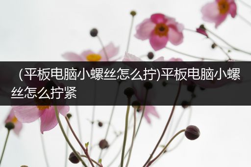 （平板电脑小螺丝怎么拧)平板电脑小螺丝怎么拧紧