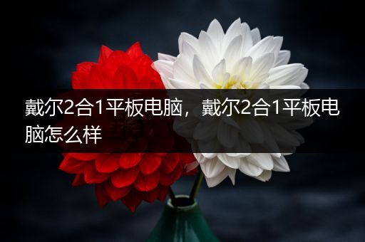 戴尔2合1平板电脑，戴尔2合1平板电脑怎么样