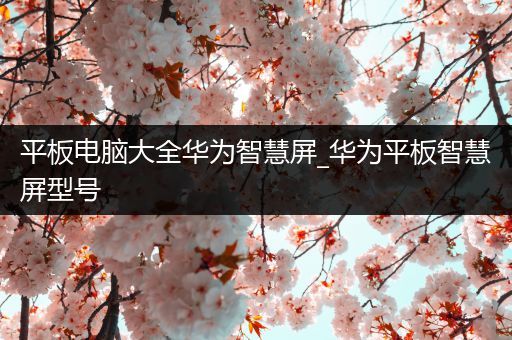 平板电脑大全华为智慧屏_华为平板智慧屏型号