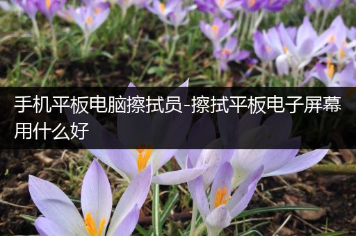 手机平板电脑擦拭员-擦拭平板电子屏幕用什么好