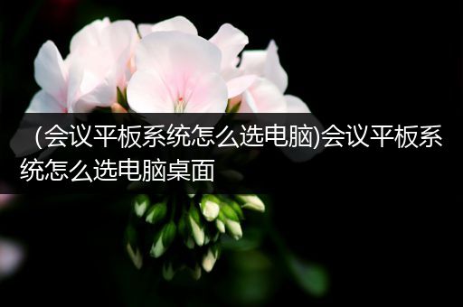 （会议平板系统怎么选电脑)会议平板系统怎么选电脑桌面