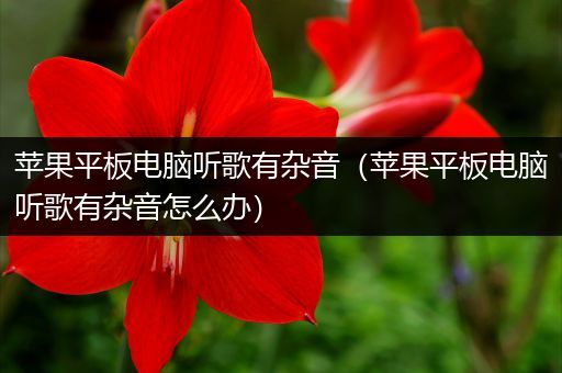苹果平板电脑听歌有杂音（苹果平板电脑听歌有杂音怎么办）